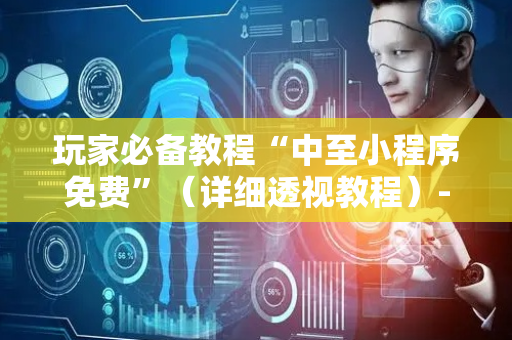 玩家必备教程“中至小程序免费”（详细透视教程）-哔哩哔哩