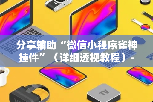 分享辅助“微信小程序雀神挂件”（详细透视教程）-哔哩哔哩