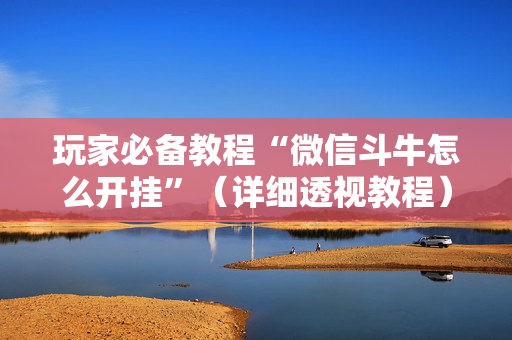 玩家必备教程“微信斗牛怎么开挂”（详细透视教程）-哔哩哔哩