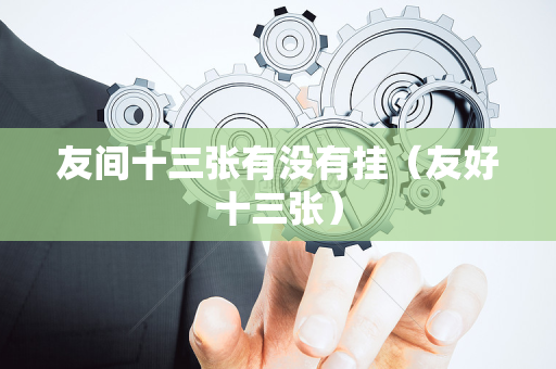友间十三张有没有挂（友好十三张）
