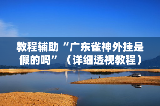 教程辅助“广东雀神外挂是假的吗”（详细透视教程）-哔哩哔哩