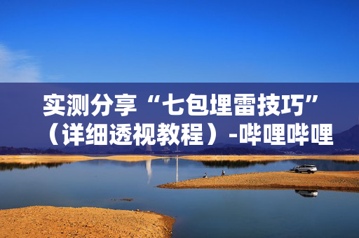 实测分享“七包埋雷技巧”（详细透视教程）-哔哩哔哩