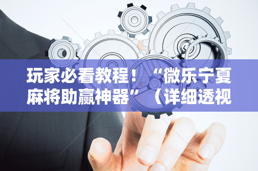 玩家必看教程！“微乐宁夏麻将助赢神器”（详细透视教程）-哔哩哔哩
