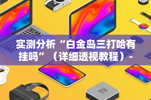 实测分析“白金岛三打哈有挂吗”（详细透视教程）-哔哩哔哩