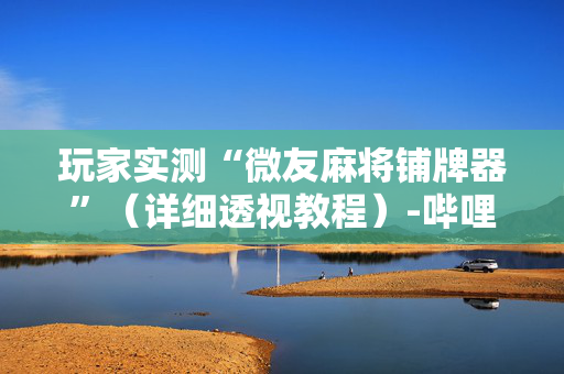 玩家实测“微友麻将铺牌器”（详细透视教程）-哔哩哔哩