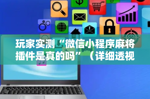 玩家实测“微信小程序麻将插件是真的吗”（详细透视教程）-哔哩哔哩