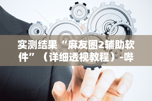 实测结果“麻友圈2辅助软件”（详细透视教程）-哔哩哔哩
