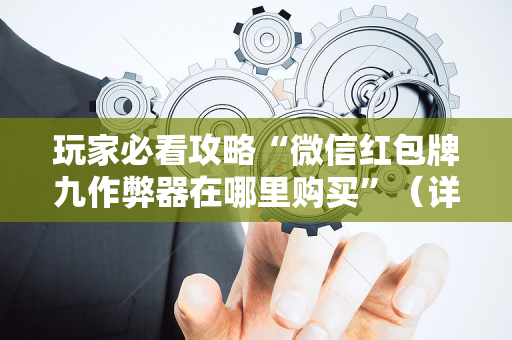 玩家必看攻略“微信红包牌九作弊器在哪里购买”（详细透视教程）-哔哩哔哩