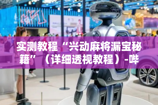 实测教程“兴动麻将漏宝秘籍”（详细透视教程）-哔哩哔哩