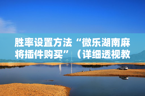 胜率设置方法“微乐湖南麻将插件购买”（详细透视教程）-哔哩哔哩