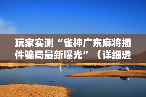 玩家实测“雀神广东麻将插件骗局最新曝光”（详细透视教程）-哔哩哔哩