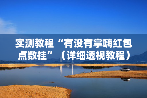 实测教程“有没有掌嗨红包点数挂”（详细透视教程）-哔哩哔哩