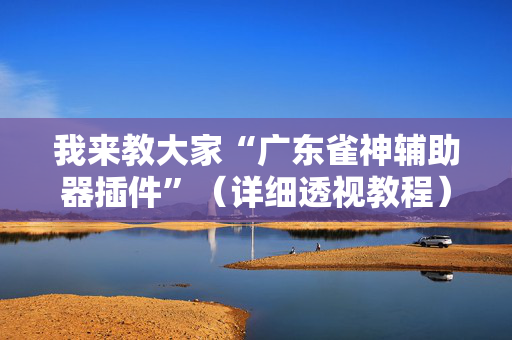 我来教大家“广东雀神辅助器插件”（详细透视教程）-哔哩哔哩
