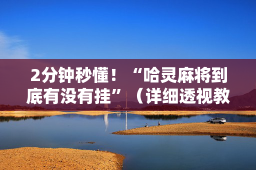 2分钟秒懂！“哈灵麻将到底有没有挂”（详细透视教程）-哔哩哔哩