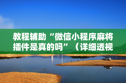 教程辅助“微信小程序麻将插件是真的吗”（详细透视教程）-哔哩哔哩