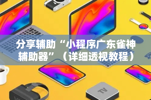 分享辅助“小程序广东雀神辅助器”（详细透视教程）-哔哩哔哩