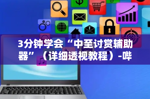 3分钟学会“中至讨赏辅助器”（详细透视教程）-哔哩哔哩