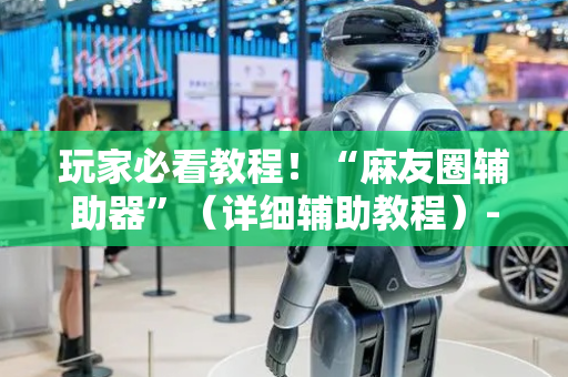玩家必看教程！“麻友圈辅助器”（详细辅助教程）-哔哩哔哩