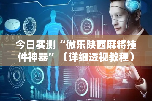 今日实测“微乐陕西麻将挂件神器”（详细透视教程）-哔哩哔哩