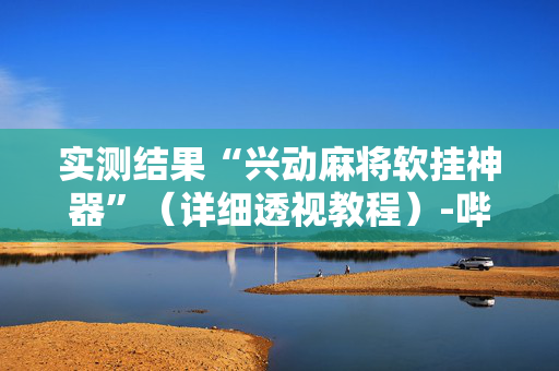 实测结果“兴动麻将软挂神器”（详细透视教程）-哔哩哔哩