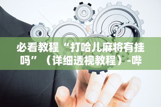 必看教程“打哈儿麻将有挂吗”（详细透视教程）-哔哩哔哩