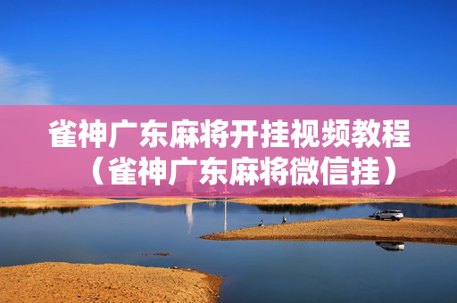 雀神广东麻将开挂视频教程（雀神广东麻将微信挂）