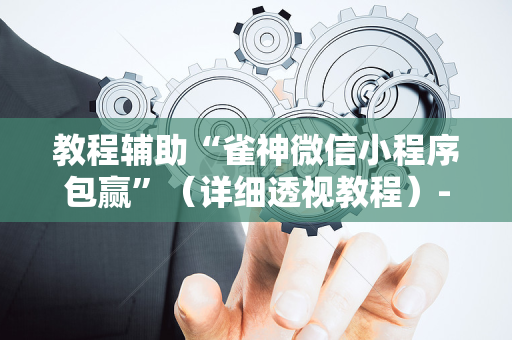 教程辅助“雀神微信小程序包赢”（详细透视教程）-哔哩哔哩