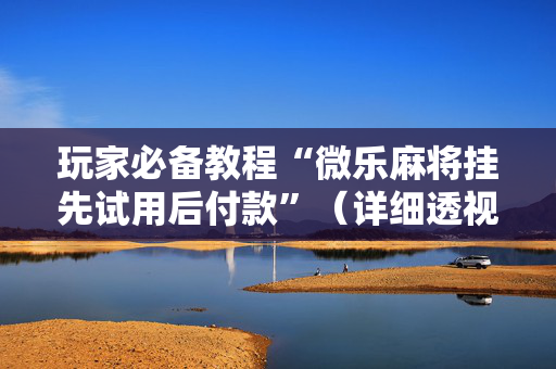 玩家必备教程“微乐麻将挂先试用后付款”（详细透视教程）-哔哩哔哩