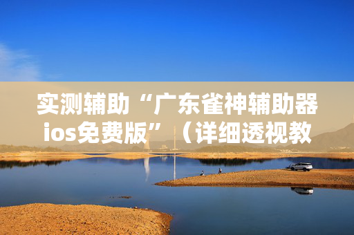实测辅助“广东雀神辅助器ios免费版”（详细透视教程）-哔哩哔哩