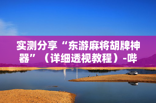 实测分享“东游麻将胡牌神器”（详细透视教程）-哔哩哔哩