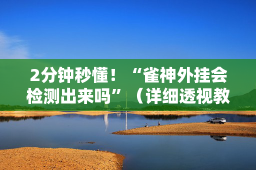 2分钟秒懂！“雀神外挂会检测出来吗”（详细透视教程）-哔哩哔哩