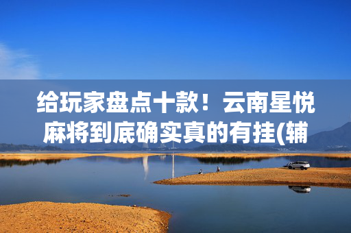 给玩家盘点十款！云南星悦麻将到底确实真的有挂(辅牌器购买)