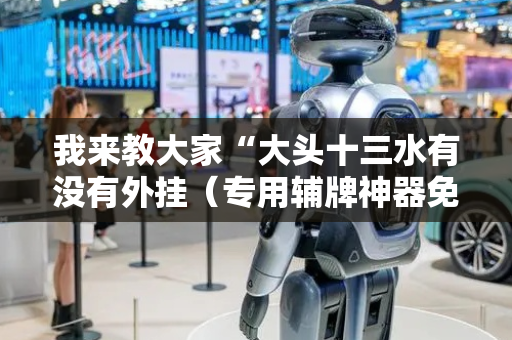 我来教大家“大头十三水有没有外挂（专用辅牌神器免安装）