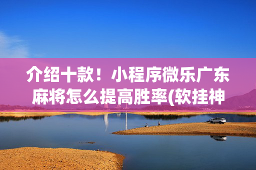 介绍十款！小程序微乐广东麻将怎么提高胜率(软挂神器)