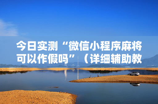 今日实测“微信小程序麻将可以作假吗”（详细辅助教程）-哔哩哔哩