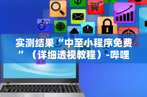 实测结果“中至小程序免费”（详细透视教程）-哔哩哔哩