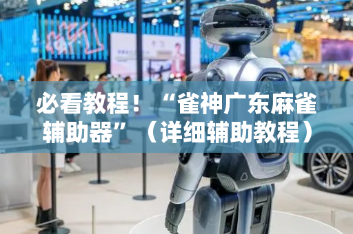 必看教程！“雀神广东麻雀辅助器”（详细辅助教程）-哔哩哔哩
