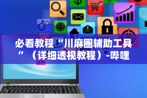 必看教程“川麻圈辅助工具”（详细透视教程）-哔哩哔哩