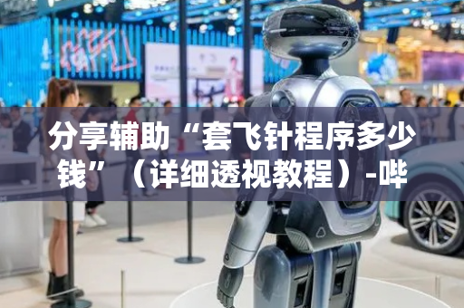 分享辅助“套飞针程序多少钱”（详细透视教程）-哔哩哔哩