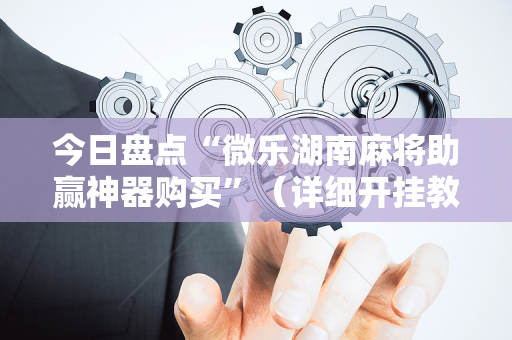 今日盘点“微乐湖南麻将助赢神器购买”（详细开挂教程）-哔哩哔哩
