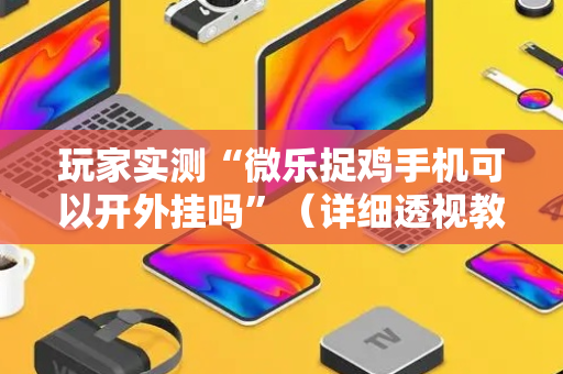 玩家实测“微乐捉鸡手机可以开外挂吗”（详细透视教程）-哔哩哔哩