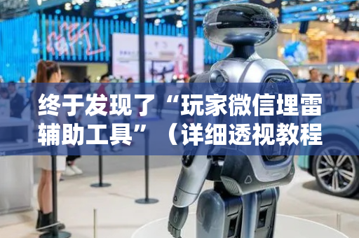 终于发现了“玩家微信埋雷辅助工具”（详细透视教程）-哔哩哔哩
