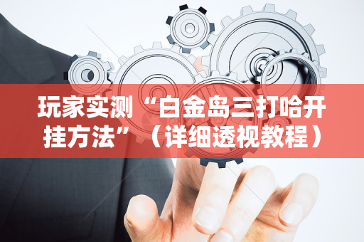 玩家实测“白金岛三打哈开挂方法”（详细透视教程）-哔哩哔哩