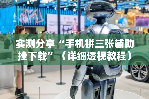 实测分享“手机拼三张辅助挂下载”（详细透视教程）-哔哩哔哩