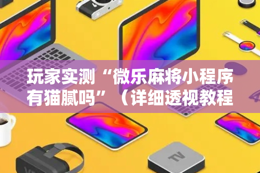 玩家实测“微乐麻将小程序有猫腻吗”（详细透视教程）-哔哩哔哩