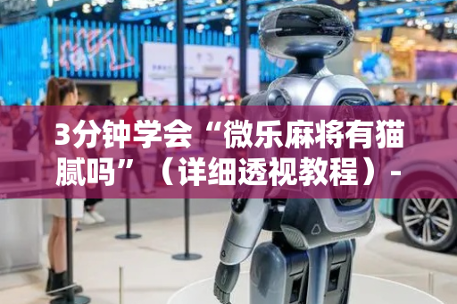 3分钟学会“微乐麻将有猫腻吗”（详细透视教程）-哔哩哔哩