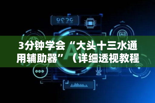3分钟学会“大头十三水通用辅助器”（详细透视教程）-哔哩哔哩