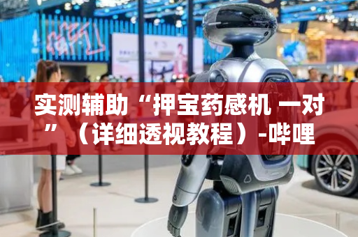 实测辅助“押宝药感机 一对”（详细透视教程）-哔哩哔哩