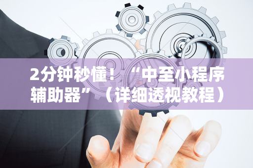 2分钟秒懂！“中至小程序辅助器”（详细透视教程）-哔哩哔哩