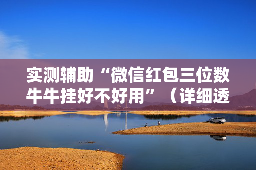 实测辅助“微信红包三位数牛牛挂好不好用”（详细透视教程）-哔哩哔哩